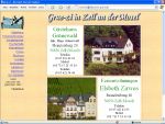 http://www.grue-zi.de